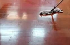 辦公區(qū)域保潔要注意哪些方面呢？