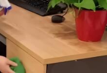 辦公區(qū)域保潔要做哪些呢？